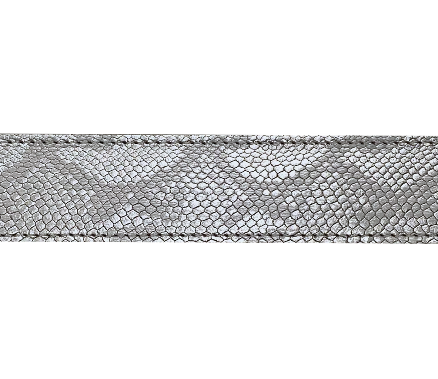 Correa I Cobra Plata