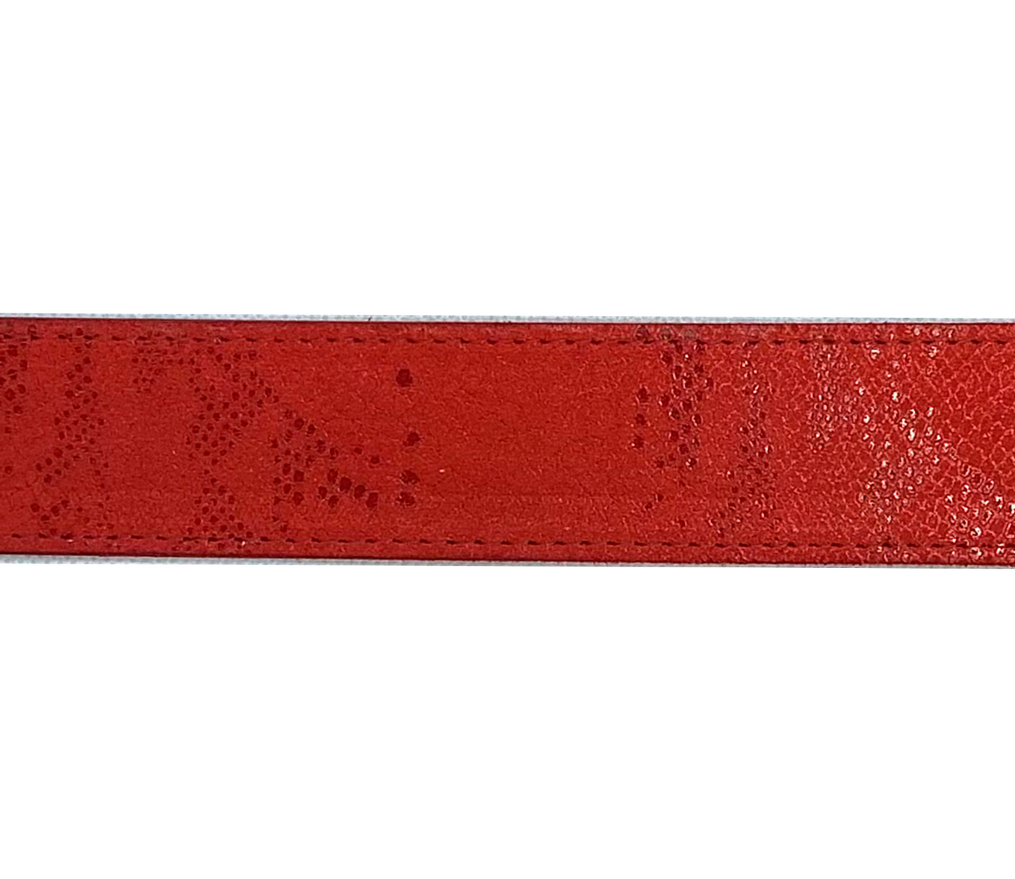 Correa I Fantasía Rojo