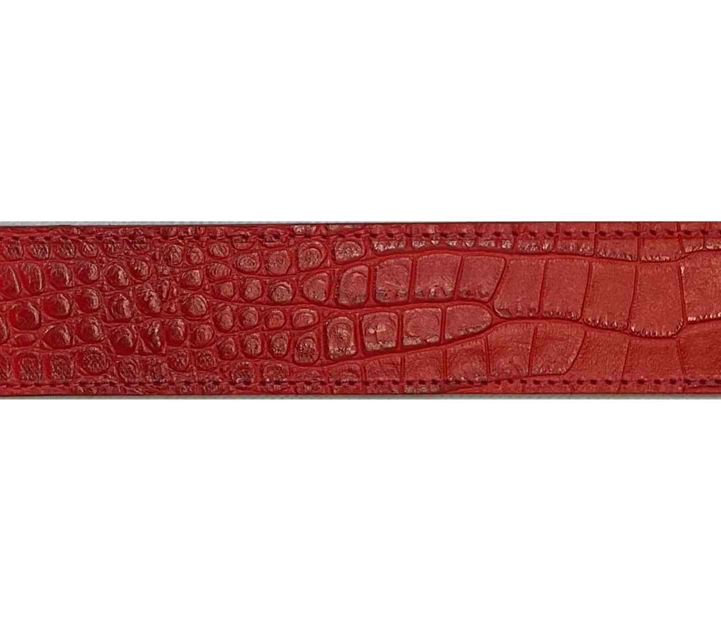 Correa I Caimán Rojo